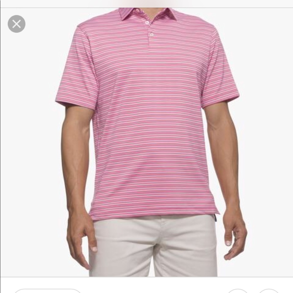 Polo mens pink collared shirt
